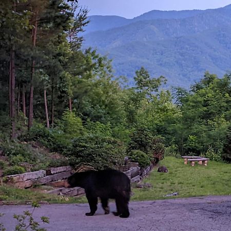 Real Log Cabin With Amazing Views, Hot Tub, Sauna, Games 蓋特林堡 外观 照片